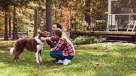 20201019_WS_VAHousing_DogBackyard_2914.jpg
